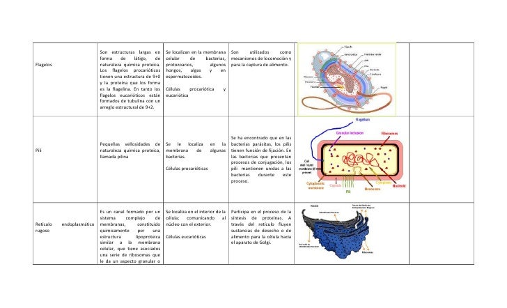Información de contacto